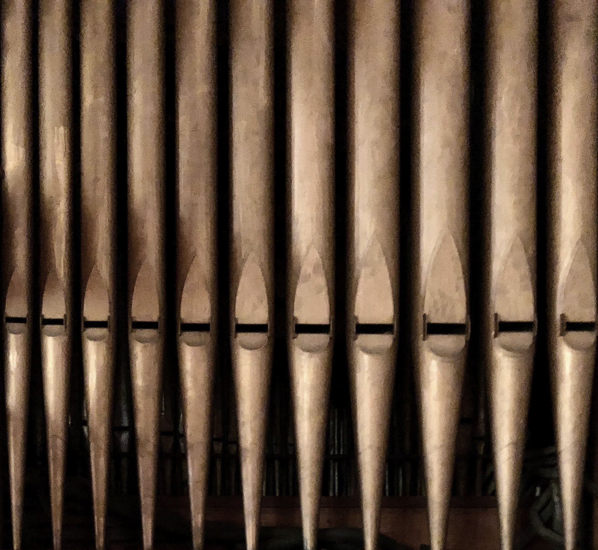 organ